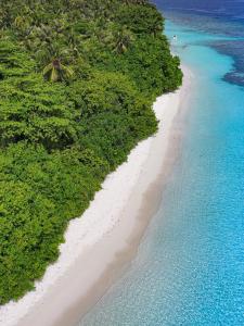 an aerial view of a beach in the ocean at Amaria Maldives in Finolhus +21 photos