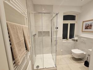 a bathroom with a shower and a toilet at Sero`s Apartment in Hahnstätten