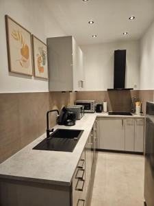 a kitchen with a sink and a counter top at Sero`s Apartment in Hahnstätten +10 photos