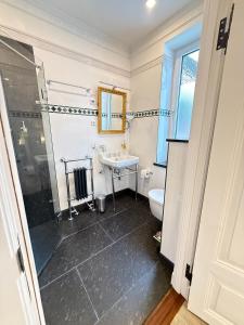 a bathroom with a shower and a sink and a toilet at Whisperwood Apartment in Colnrade +32 photos