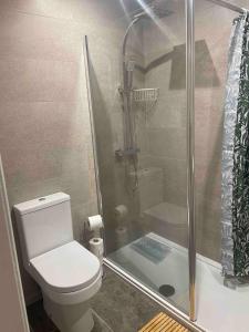 a bathroom with a shower and a toilet at Evas place in Llandudno