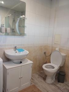 a bathroom with a toilet and a sink at Monfort Studio in Bansko +12 photos