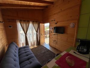 a living room with a blue couch and a television at Cabañas Sra Mery in Quilimarí