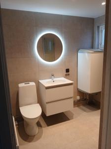a bathroom with a toilet and a sink and a mirror at Seaview Cottage Solvik - Kungshamn in Kungshamn