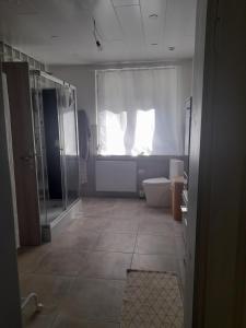 a bathroom with a shower and a toilet and a window at Chambre d'hôtes dans un écrin de verdure in Dambach