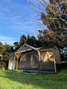 a tent sitting on the grass in a field at Glamping Mañihueico in Contao