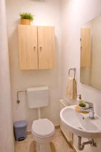 a bathroom with a toilet and a sink at Rohrbach Apartments in Ternitz