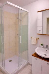 a bathroom with a shower and a sink at Rohrbach Apartments in Ternitz