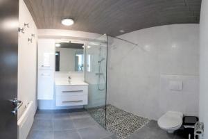 a bathroom with a shower and a toilet and a sink at Au Chant des Roches Gîte en pierre avec jardin à Cerfontaine in Cerfontaine +7 photos