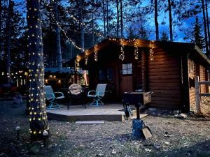 a cabin with christmas lights and a grill at Lakeshore Lily Pad in Hayward