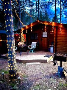 a cabin with a deck with a table and lights at Lakeshore Lily Pad in Hayward