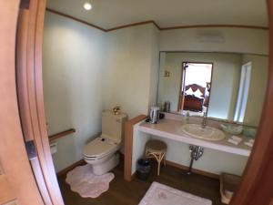 un bagno con un water, un lavandino e uno specchio di Petit Hotel Corinthian a Rebun Altre 50 foto