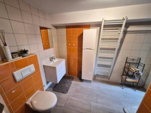 a bathroom with a white toilet and orange tiles at Apartment Doroteja in Podplat
