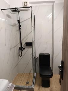 a glass shower stall with a toilet in a bathroom at Πλάτανος Στούντιο ΙΙΙ PLATANOS STUDIO III in Mytilene +21 photos