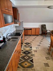 a kitchen with a sink and a counter top at Apartment Doroteja in Podplat