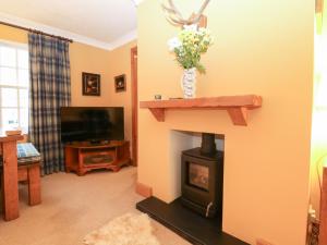 a living room with a fireplace and a television at 1 The Cross in Dunkeld