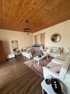 ein Wohnzimmer mit einem Bett und einer Couch in der Unterkunft Giorgoula house in Koilani