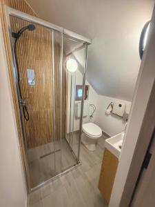 a bathroom with a shower and a toilet and a sink at La Sava lui Traian in Gârda de Sus