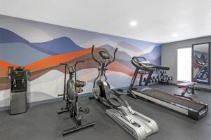 a gym with two exercise bikes and a mural at Best Western Montrose Inn in Montrose