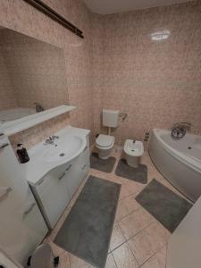 a bathroom with a sink and a toilet and a tub at Apartment OrMarić in Otočac