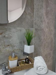 a bathroom with a sink with a potted plant on it at Hotel Aquamarina Maicao in Maicao