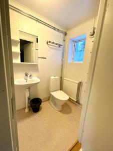 a bathroom with a toilet and a sink at Villa nära Järvsö in Järvsö +8 photos