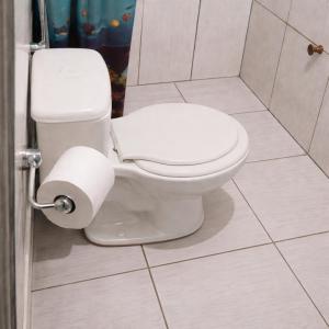 a toilet in a bathroom with a roll of toilet paper at Ybirá - Casa Inteira no Centro de Alter do Chão in Alter do Chao
