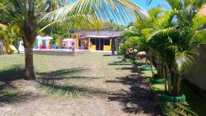 a row of palm trees in front of a house at Chalé a beira mar ilhéus in Ilhéus