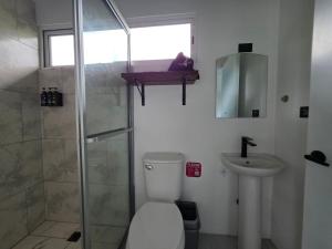 a bathroom with a toilet and a shower and a sink at The Palm at Life's a Beach in Uvita +14 photos
