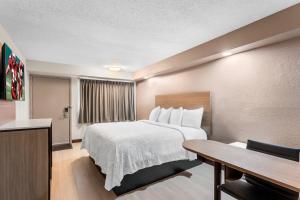 a hotel room with a bed and a desk at Red Roof Inn PLUS Chicago - Hoffman Estates in Hoffman Estates +29 photos