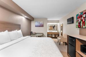 a hotel room with a bed and a desk at Red Roof Inn PLUS Chicago - Hoffman Estates in Hoffman Estates