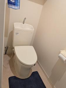 a bathroom with a white toilet in a room at marusan houseマルさんの家 in Osaka +21 photos