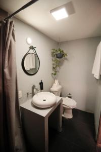 a bathroom with a sink and a toilet and a mirror at Casa Arrayan in Guadalajara +113 photos