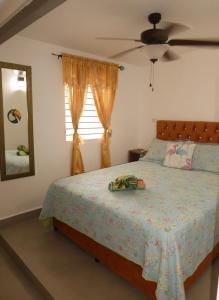 a bedroom with a bed and a window at Casa del Sol Bed and Breakfast in Contadora