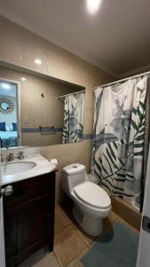 a bathroom with a toilet and a sink and a shower curtain at Mels House Batuco in El Cerrillo +41 photos