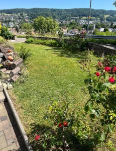 a garden with red roses and green grass at Italian Guesthouse in Baden