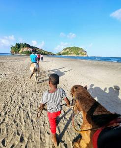 a young boy riding a horse on the beach at Exceptional villa KODEÏA - private spa & panoramic view in Sainte-Marie