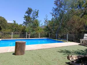 a swimming pool with a tree stump in the yard at Casa Olmué in Olmué +34 photos