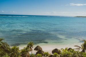 uma praia com palmeiras e o oceano em Celestial Penthouse em Balcheil