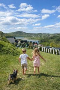 two children are walking in a field with a dog at Amaretto Apartamenty Solina centrum in Solina