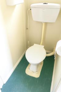 a white toilet in a bathroom with a green floor at Boxed Bliss on Fox in Hamilton +20 photos