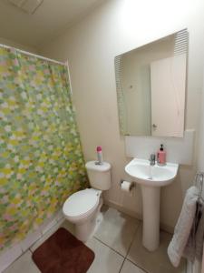 a bathroom with a toilet and a sink and a mirror at Casa Labranza estacionamiento 2 dormitorios amoblada Jorge Alessandri 0979 in Temuco +11 photos