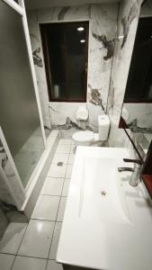a bathroom with a sink and a toilet and a shower at HOTEL Y MOTEL SAVOY - Santiago in Santiago