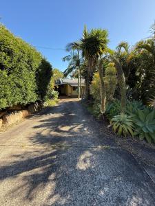 a driveway with palm trees and a house in the background at Terrigal Cottage in Terrigal