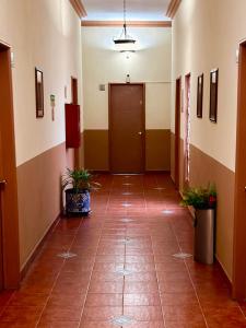 an empty hallway in a hospital with two potted plants at Hotel de Talavera in Puebla