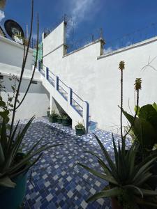 a patio with potted plants and a stair case at Casa Bienestar in Guatemala