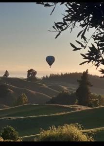 a hot air balloon flying over a field at Edens retreat in Upper Moutere +8 photos