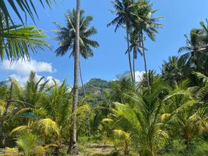 a group of palm trees on the beach at The Green Pearl Paradise in Biluhu