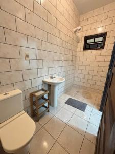 a bathroom with a toilet and a sink at Econômica Joinville Hostel e Pousada in Joinville +31 photos