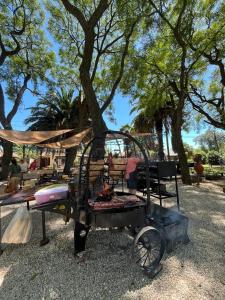a bird cage sitting on the ground next to a tree at La Huella in Chascomús